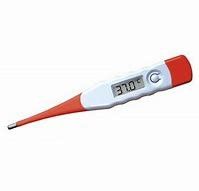 Small Size Most Accurate Digital Thermometer With Last Memory Reading